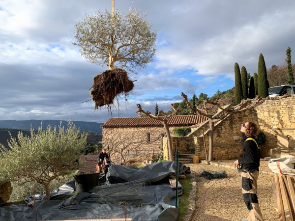 Reconstruction d'un mur de soutènement